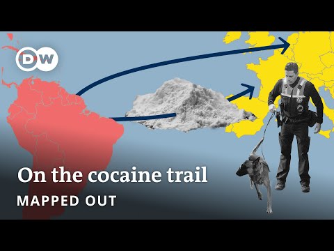 How Europe became addicted to cocaine | Mapped Out