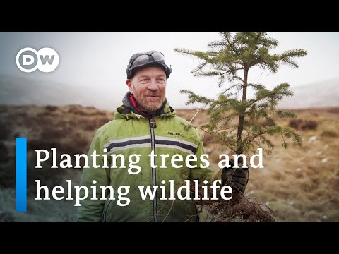 Scotland tackles climate change | DW News