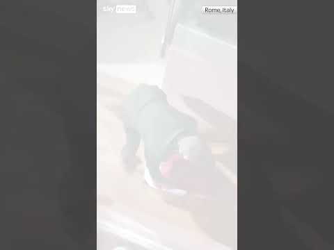 Bottle hits tennis legend’s head
