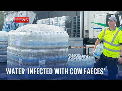 Cow faeces ‘leaked into damaged water pipes’ in Devon