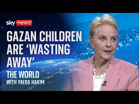 Situation in Gaza is ‘catastrophic’, UN food boss warns | Israel-Hamas war