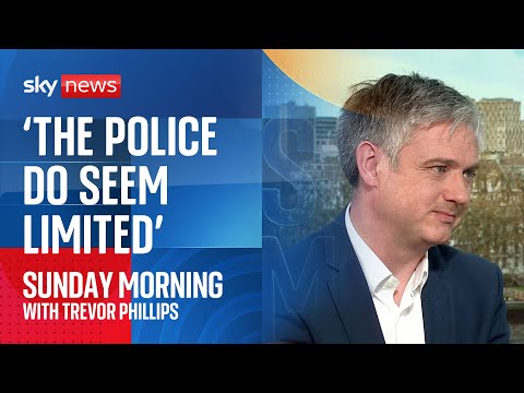 Public order law being ‘substantially tested’ by pro-Palestinian marches, says Lord Walney