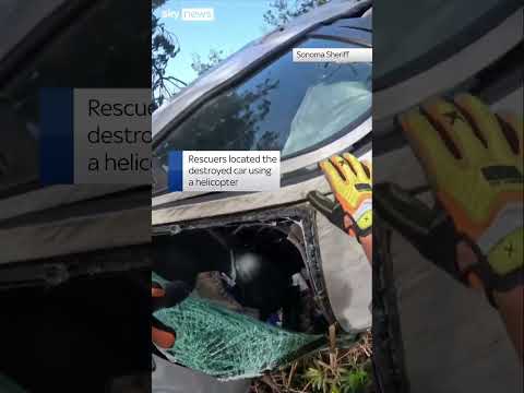 Driver rescued from California cliff