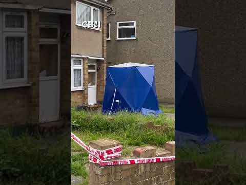 A woman has died after being attacked by two XL Bully dogs in east London #xlbully #gbnews