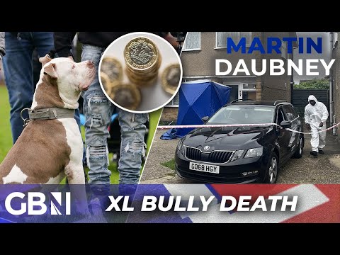 Could the Government make ALL dog owners pay for XL Bully attacks? – ‘This could get much worse!’