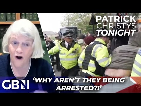 ‘Where are the water cannons?!’ Ann Widdecombe calls for DRASTIC action to counter unlawful protests
