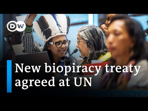 What you need to know about the new treaty to combat biopiracy | DW News