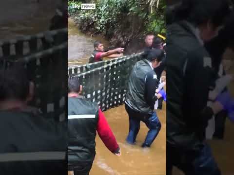 Pink dolphins rescued from river