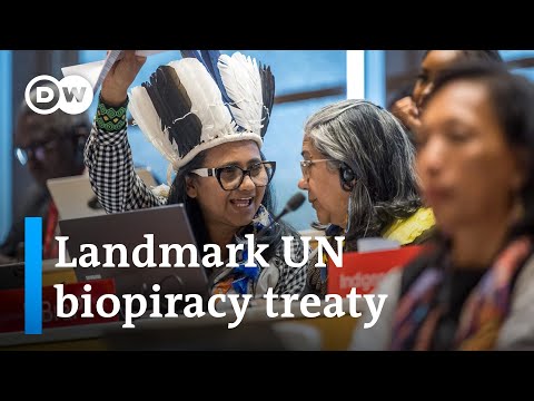 How will new UN biopiracy treaty prevent the abuse of Indigenous people’s resources in patents?