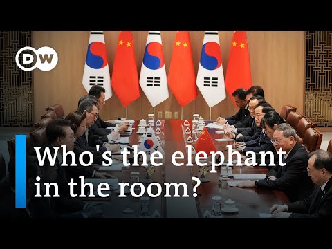 S. Korea, Japan, China summit: What’s NOT on the agenda? | DW News