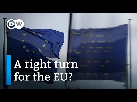 EU elections: Could far-right parties take over the European Parliament? | Focus on Europe