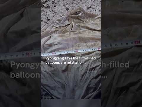 North Korea sends balloons carrying excrement to the south | DW Shorts