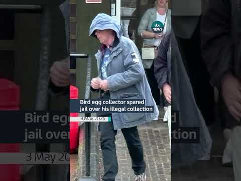 Daniel Lingham was handed a suspended jail-term #itvnews #birds #crime