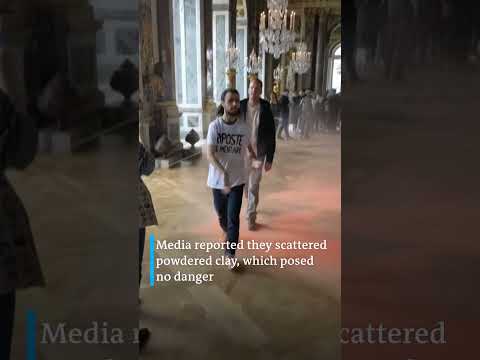 Activists release orange powder into Versailles Hall of Mirrors | DW News