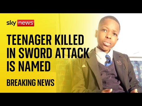 Hainault stabbings: Teenager killed in sword attack named as Daniel Anjorin