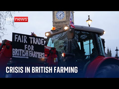 Faultlines: Struggling farmers face uncertain future post-Brexit