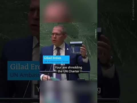 Israel’s Ambassador to the UN shreds UN Charter at the General Assembly | DW News