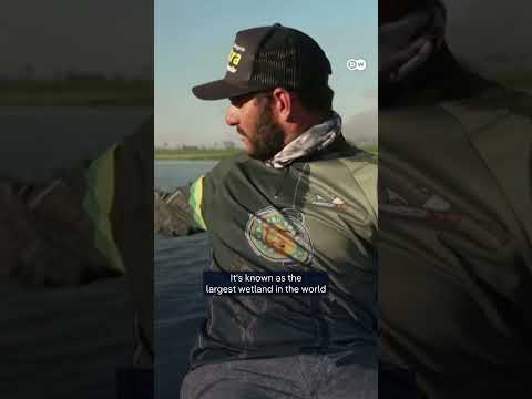 Brazil’s Panatal wetlands in flames | DW News