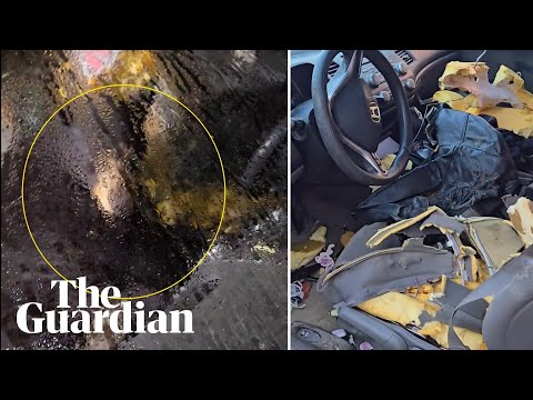 Bear caught on camera snoozing inside car after breaking in