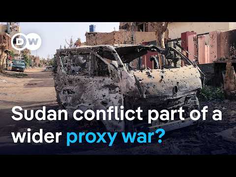 UN Security Council calls for end to siege of al-Fasher in Sudan | DW News