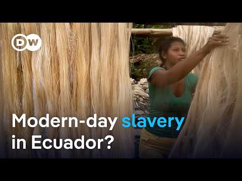 Ecuador: Landmark rulings expected on several historic cases of exploitation | DW News