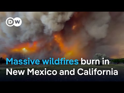 United States hit by ‘heat dome’ phenomenon | DW News