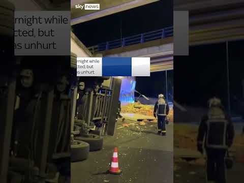 30 tonnes of hams spilt along road