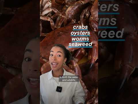 Crabs on cocaine | DW News