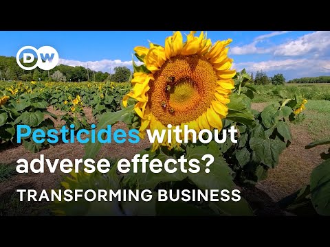 How toxic is the pesticides industry? | DW Transforming Business