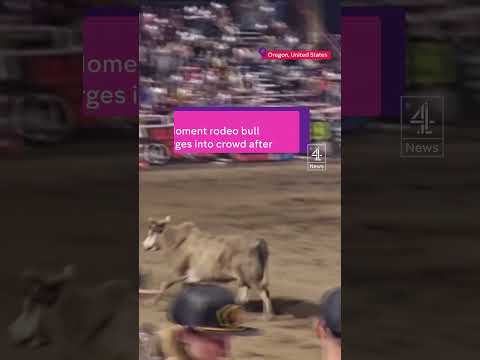 Rodeo bull charges into crowd