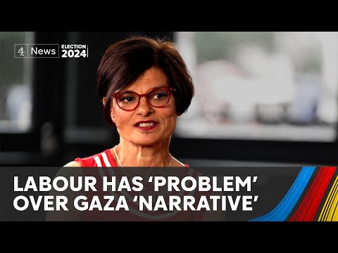 Ex-Labour MP Thangam Debbonaire: Party’s ‘lack of a strong narrative’ on Gaza ‘had consequences’