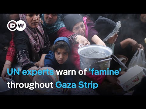 UN warns Gaza Strip ‘too dangerous’ for aid distribution as Palestinians go hungry | DW News