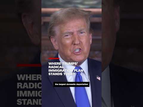 Where Trumps’ radical immigration plan stands today