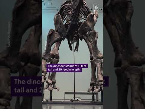 World’s largest dinosaur fossil sells for $44.6m