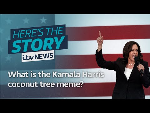 What is the Kamala Harris coconut tree meme? | ITV News
