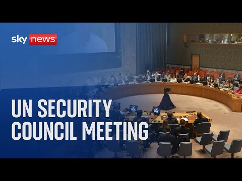Watch live: UN Security council meeting on threats to international peace and security