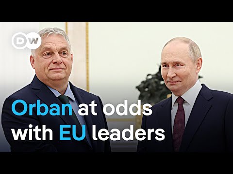 Did Hungary violate the European Treaty? | DW News