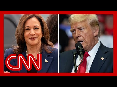 Trump campaign ‘completely freaked out’ by Harris candidacy, says former GOP strategist