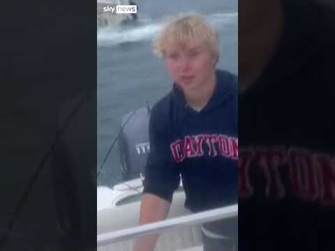 Whale slams into boat and capsizes it