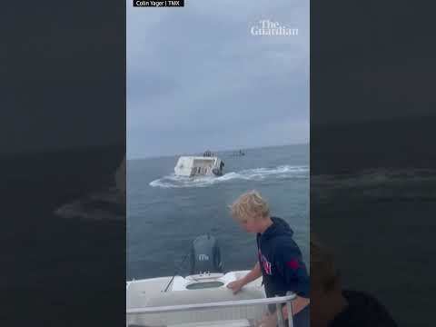 Whale capsizes fishing boat off New Hampshire coast