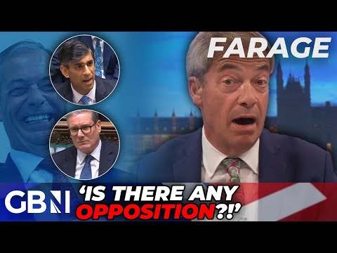 Nigel Farage CONCERNED over ‘lack of opposition’ in Parliament as Sunak supports Starmer in PMQs