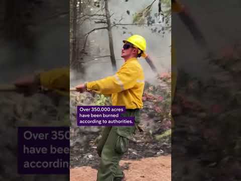 Suspected arson attack causes rapidly growing Park fire in California