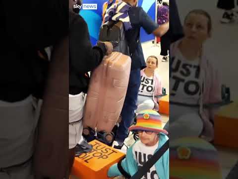 Just Stop Oil activists disrupt Gatwick airport