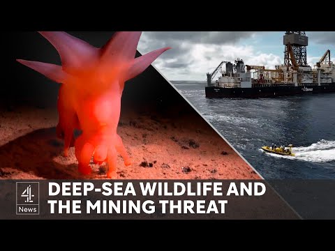 Does the world need deep-sea mining for the green tech revolution?