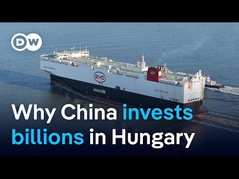 Behind China’s massive bet on Hungary | DW Business