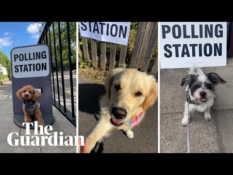Dogs join their owners at UK polling stations