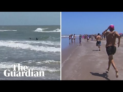 Shark bites two swimmers near Texas beach