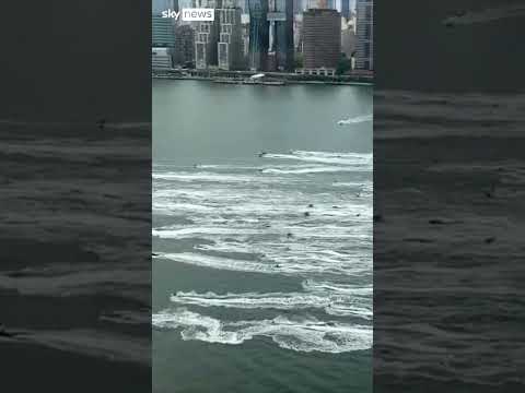 Hundreds of jet skis ride through New York City