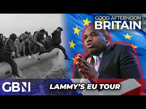 Brexit in PERIL: EU eyes NEW DEAL with UK under ‘FRIEND of EU project’ David Lammy