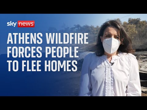 Athens wildfire: ‘There is no home for him to go back to’